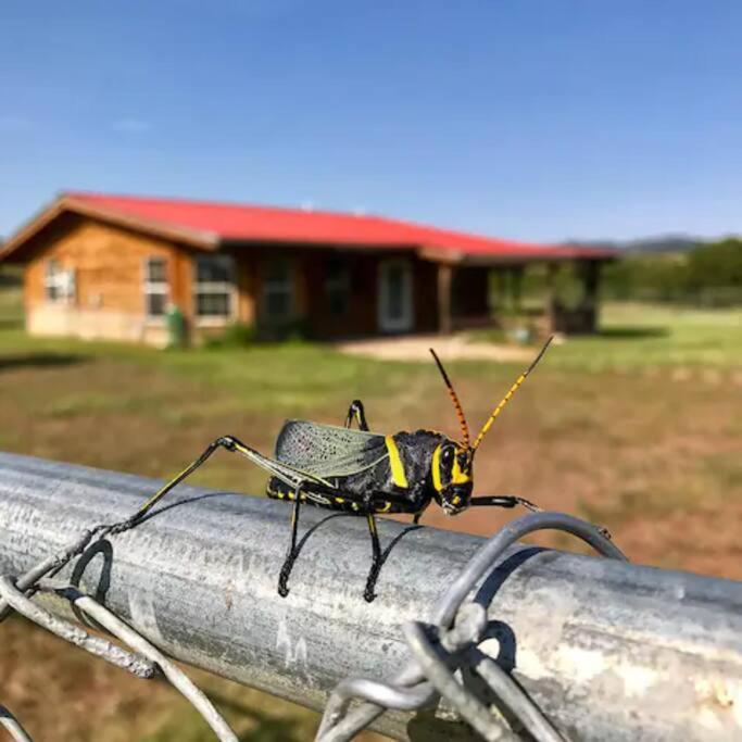 Cottonwood Creek Cabins - Alpine, Tx Exterior foto